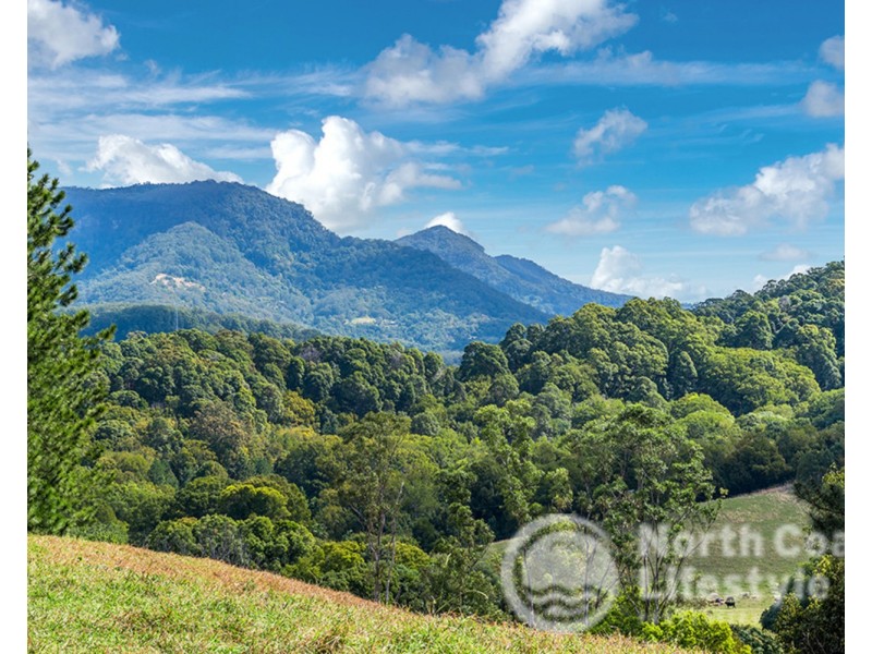343 Main Arm Road, Mullumbimby NSW 2482