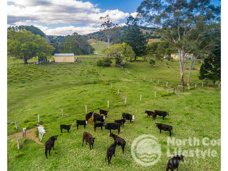 343 Main Arm Road, Mullumbimby NSW 2482