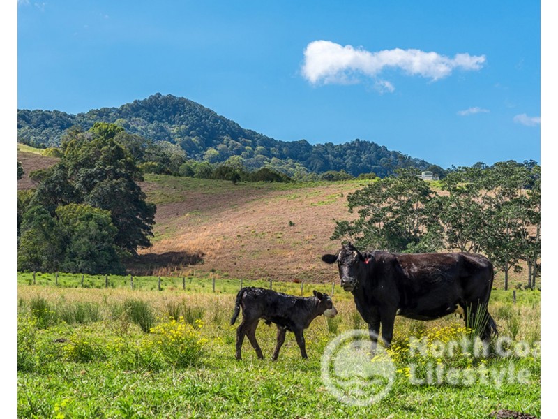 343 Main Arm Road, Mullumbimby NSW 2482