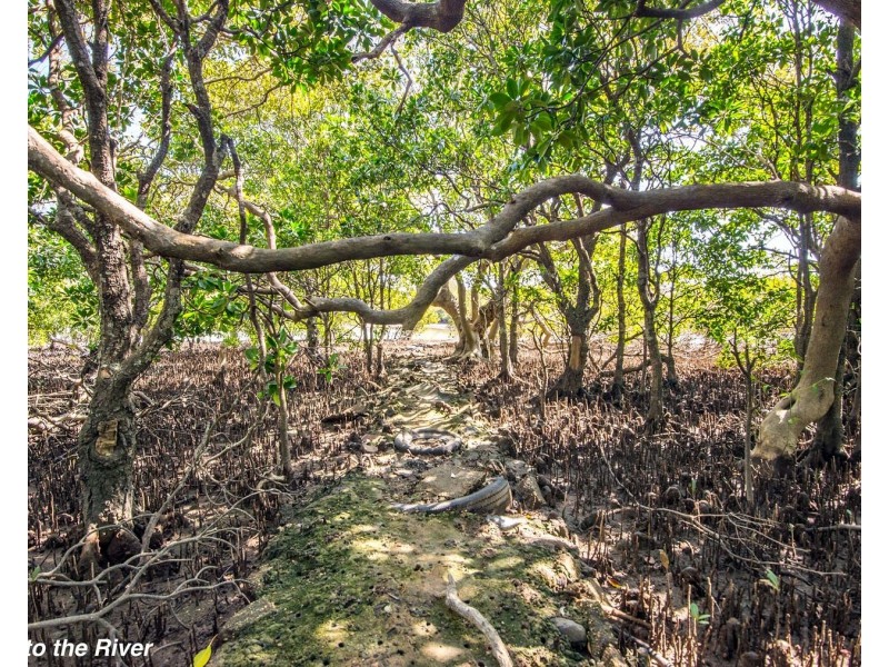 23 Pacific Street, New Brighton NSW 2483