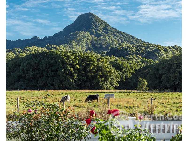38 Main Arm Road, Mullumbimby NSW 2482