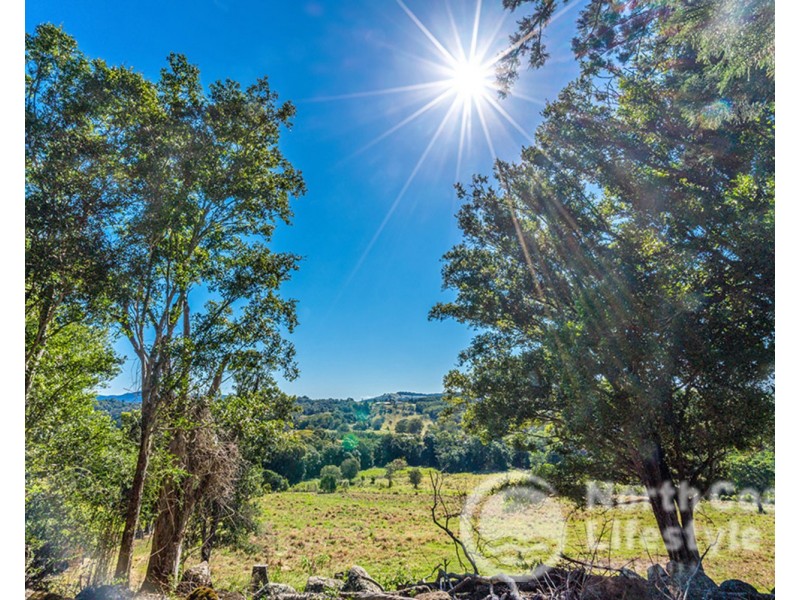 249 Wilsons Creek Road, Wilsons Creek NSW 2482