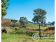 249 Wilsons Creek Road, Wilsons Creek NSW 2482