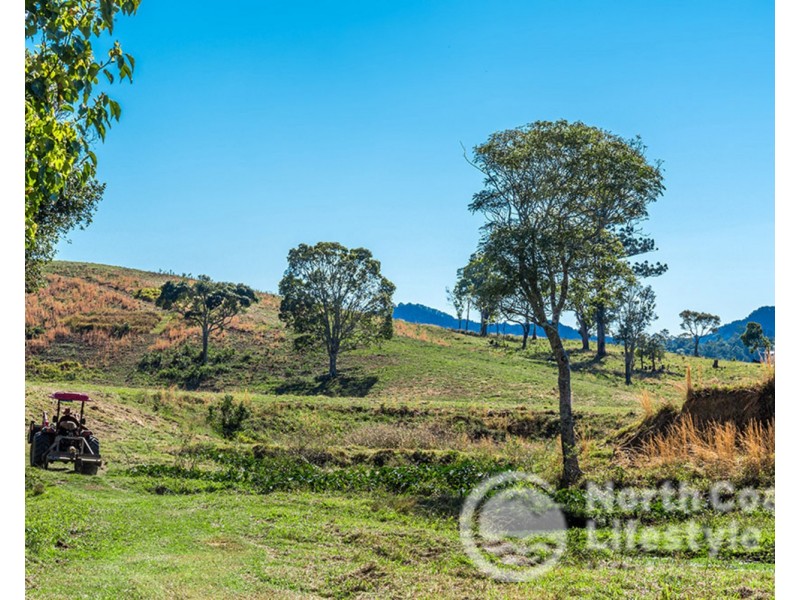 249 Wilsons Creek Road, Wilsons Creek NSW 2482