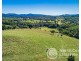 249 Wilsons Creek Road, Wilsons Creek NSW 2482