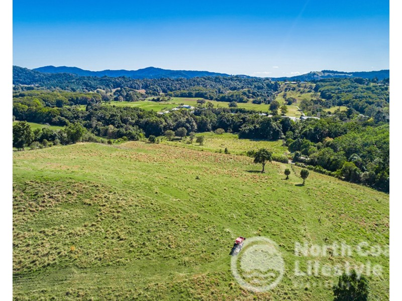 249 Wilsons Creek Road, Wilsons Creek NSW 2482