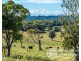 249 Wilsons Creek Road, Wilsons Creek NSW 2482