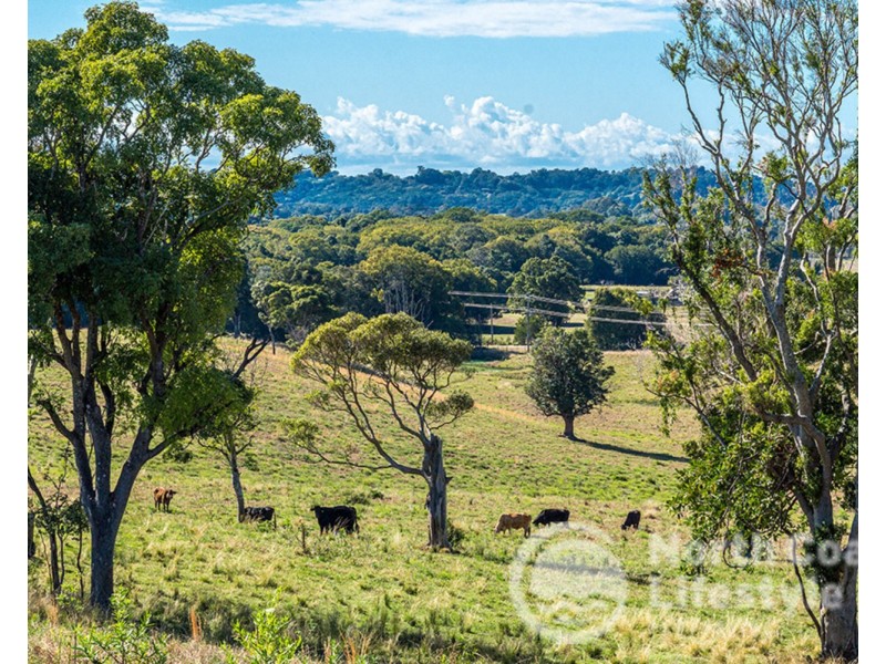 249 Wilsons Creek Road, Wilsons Creek NSW 2482