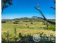 249 Wilsons Creek Road, Wilsons Creek NSW 2482