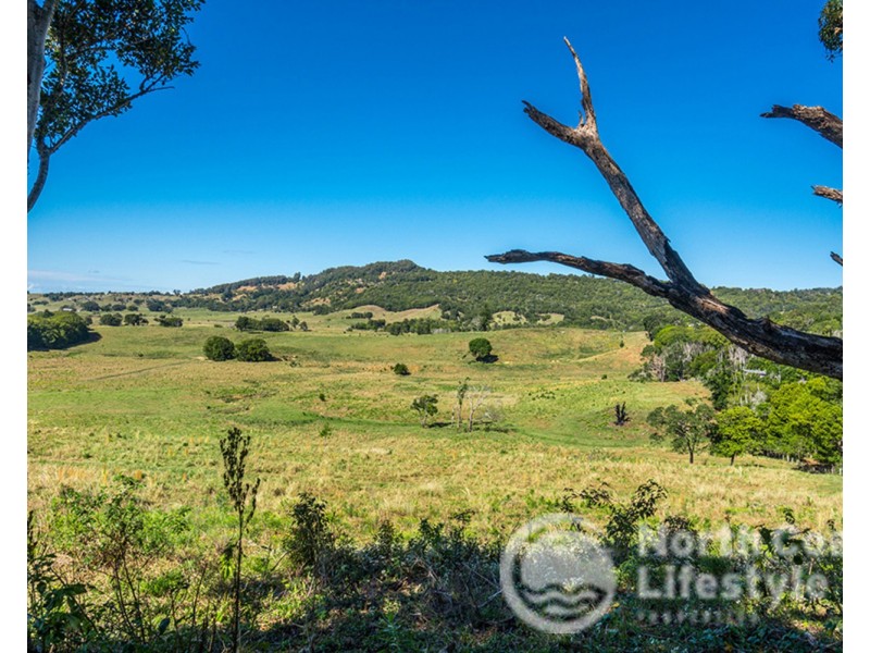 249 Wilsons Creek Road, Wilsons Creek NSW 2482