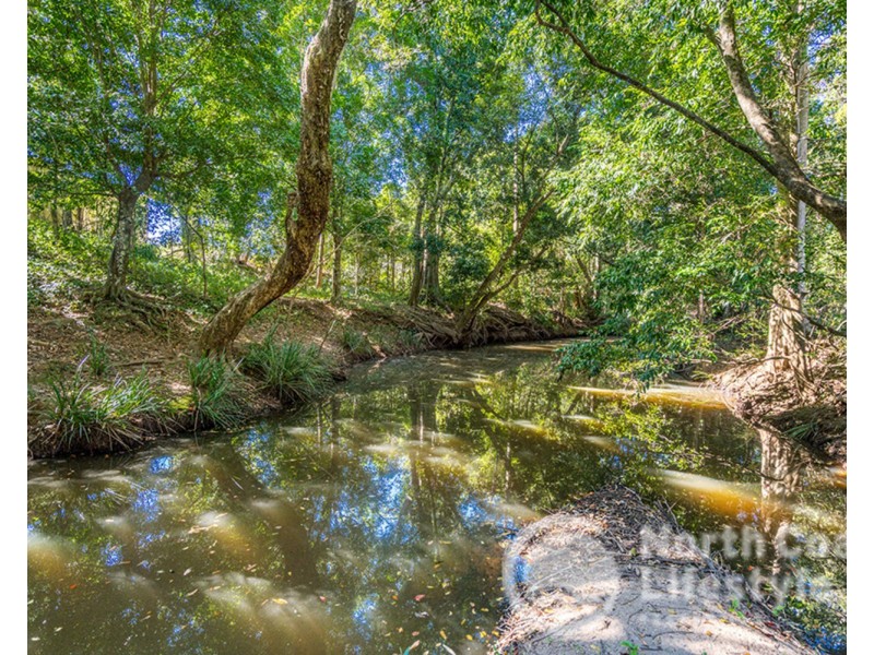 249 Wilsons Creek Road, Wilsons Creek NSW 2482