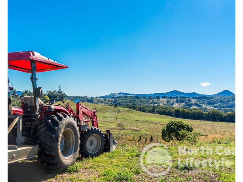 249 Wilsons Creek Road, Wilsons Creek NSW 2482