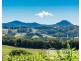 249 Wilsons Creek Road, Wilsons Creek NSW 2482