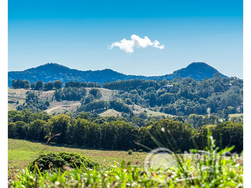 249 Wilsons Creek Road, Wilsons Creek NSW 2482