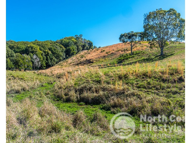 249 Wilsons Creek Road, Wilsons Creek NSW 2482