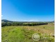 249 Wilsons Creek Road, Wilsons Creek NSW 2482