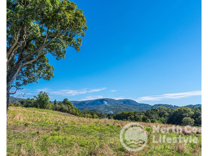 249 Wilsons Creek Road, Wilsons Creek NSW 2482