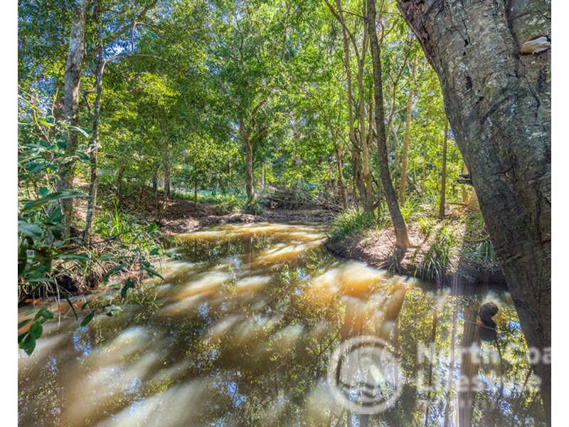 249 Wilsons Creek Road, Wilsons Creek NSW 2482