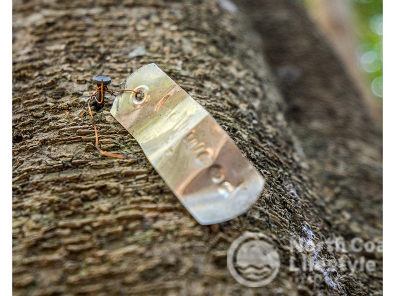 249 Wilsons Creek Road, Wilsons Creek NSW 2482