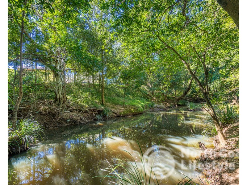 249 Wilsons Creek Road, Wilsons Creek NSW 2482