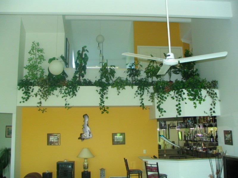 1 Kanandah Court, Ocean Shores NSW 2483