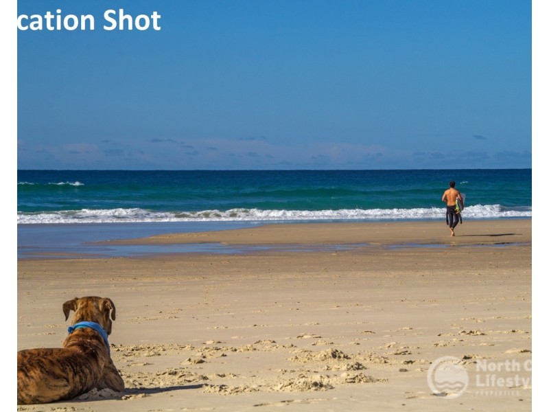 12 Tweed Coast Road, Hastings Point NSW 2489