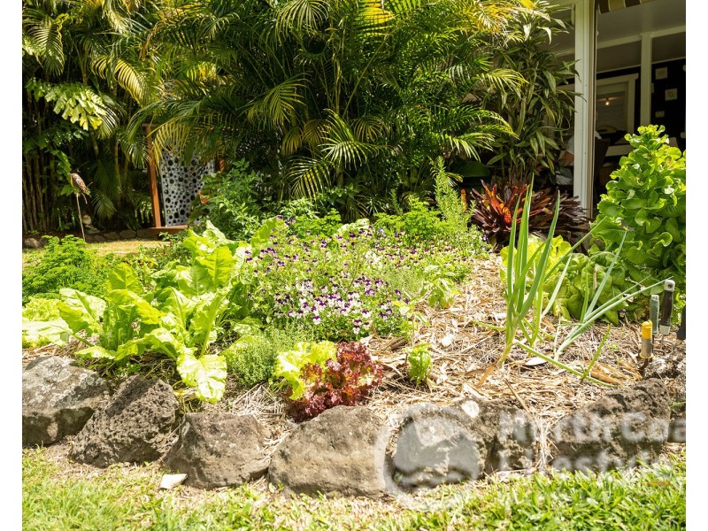 6 Park Street, New Brighton NSW 2483