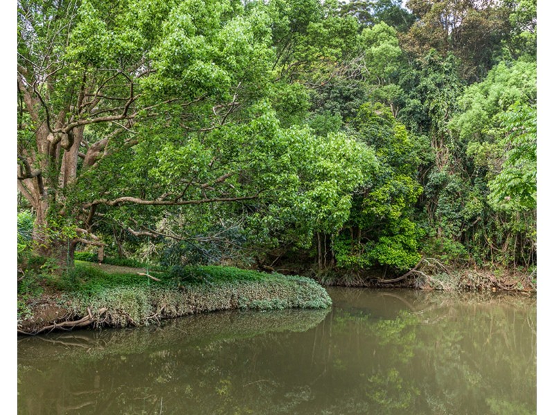 6082 Tweed Valley Way, Burringbar NSW 2483