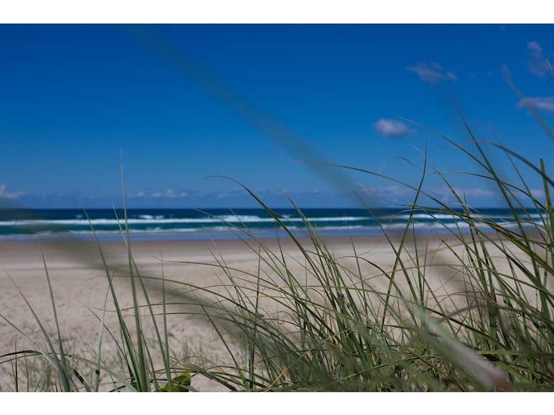 24 Muli Muli Avenue, Ocean Shores NSW 2483