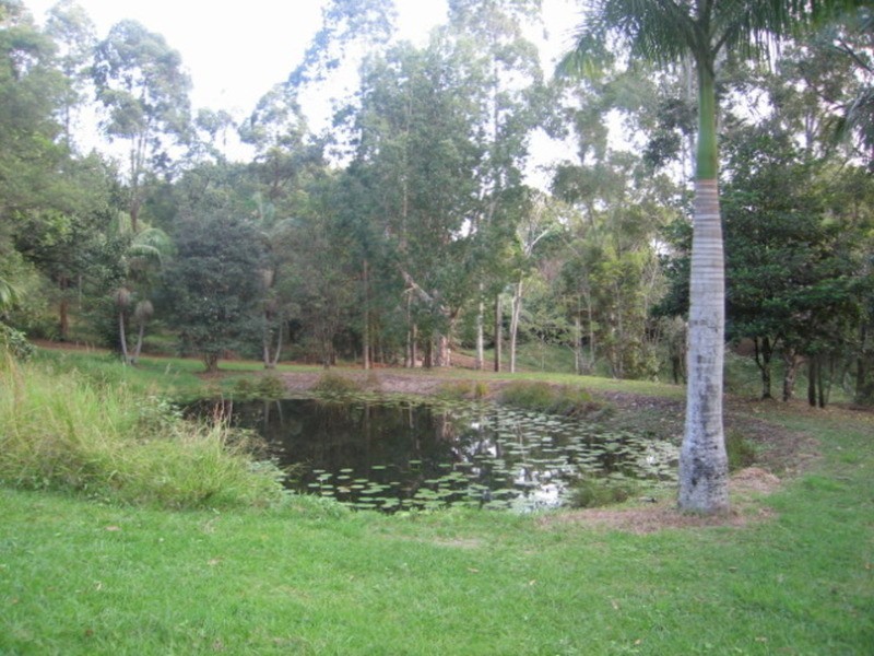 279 Mafeking Road, Goonengerry NSW 2482