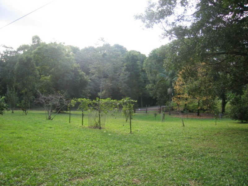 279 Mafeking Road, Goonengerry NSW 2482