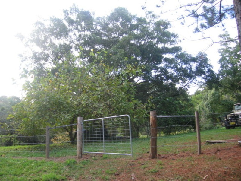 279 Mafeking Road, Goonengerry NSW 2482