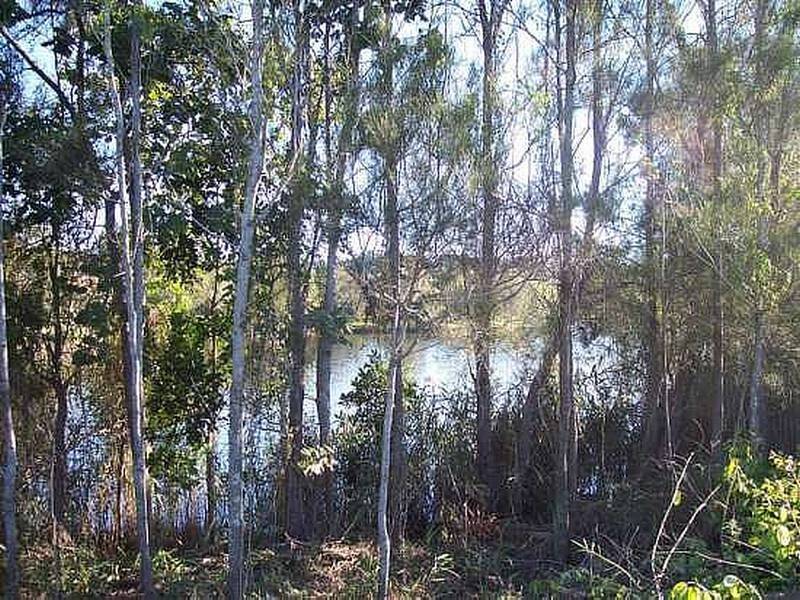 19 Rangal Road, Ocean Shores NSW 2483