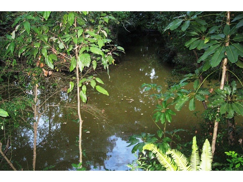 Lot 1 Coolamon Scenic Drive, Mullumbimby NSW 2482