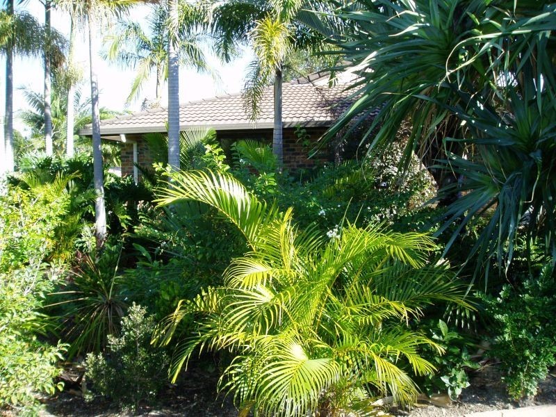 1 Bobra Glen, Ocean Shores NSW 2483