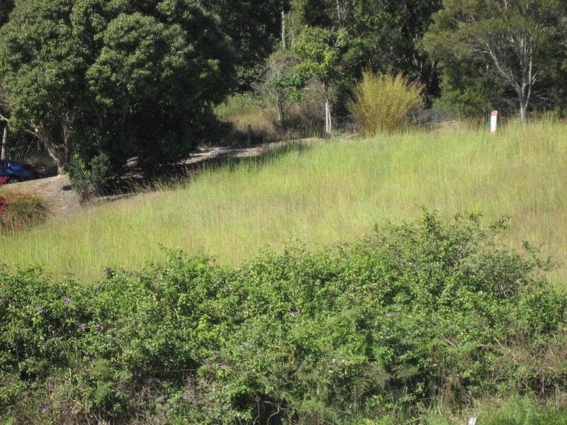 50 Yamble Drive, Ocean Shores NSW 2483