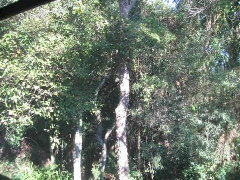 17/2 Rajah Road, Ocean Shores NSW 2483