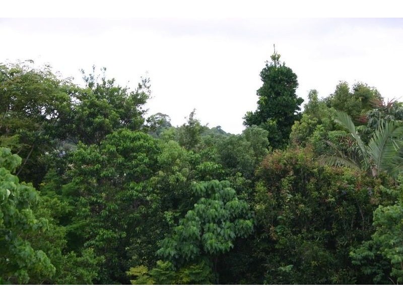 8 Yackatoon Court, Ocean Shores NSW 2483