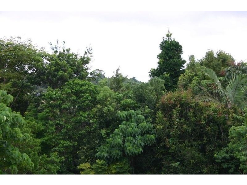 8 Yackatoon Court, Ocean Shores NSW 2483