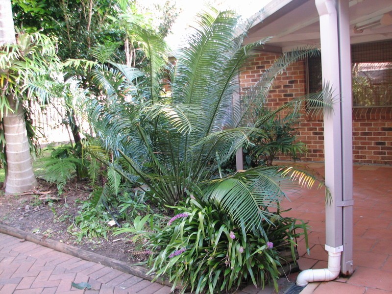 6 Kallaroo Circuit, Ocean Shores NSW 2483