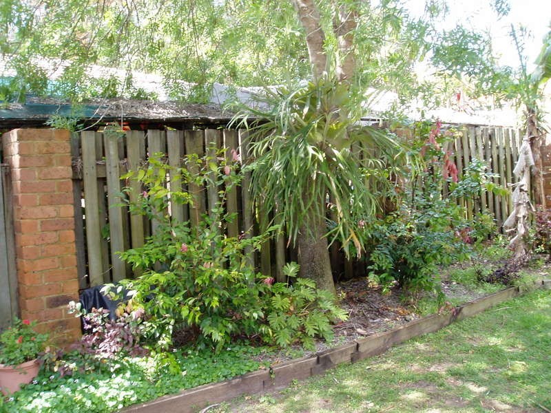 6 Kallaroo Circuit, Ocean Shores NSW 2483