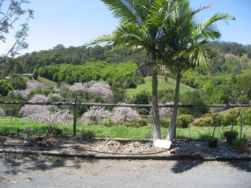 16 Hinchinbrook Road, Burringbar NSW 2483