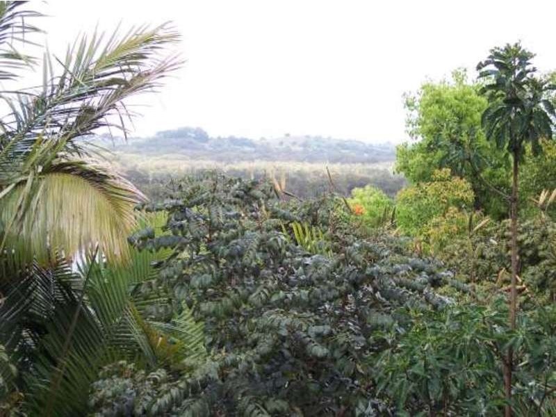 Ocean Shores NSW 2483