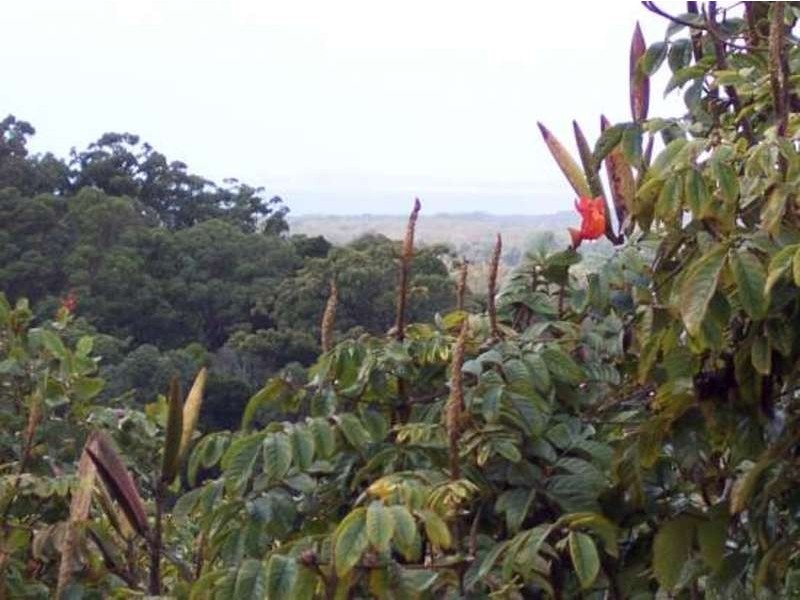 Ocean Shores NSW 2483