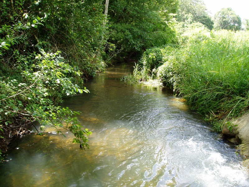 194 Blindmouth Road, Mullumbimby NSW 2482