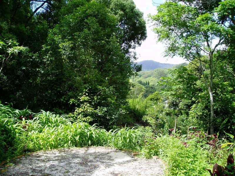 194 Blindmouth Road, Mullumbimby NSW 2482