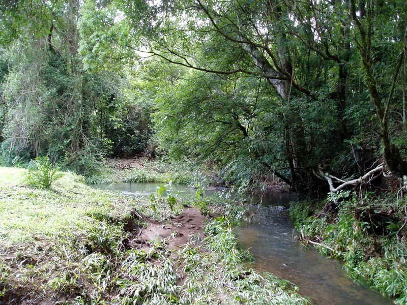 194 Blindmouth Road, Mullumbimby NSW 2482