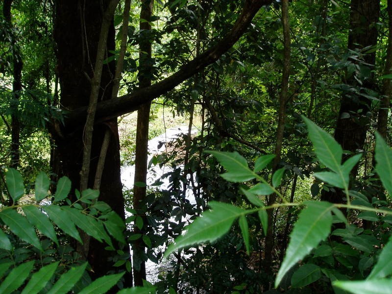 194 Blindmouth Road, Mullumbimby NSW 2482