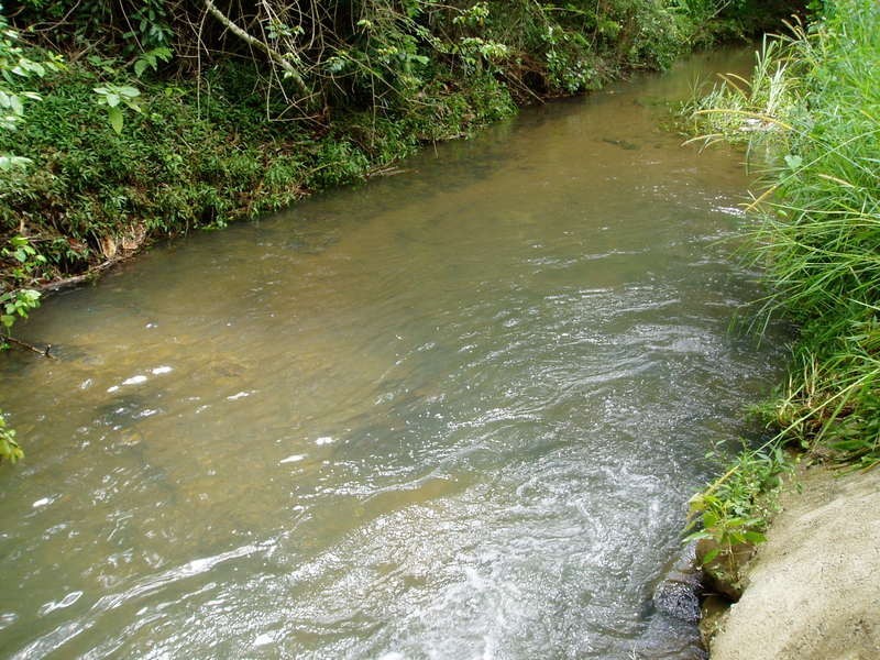 194 Blindmouth Road, Mullumbimby NSW 2482