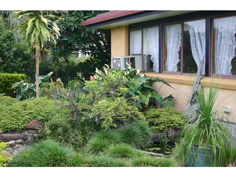 43 Main Arm Road, Mullumbimby NSW 2482